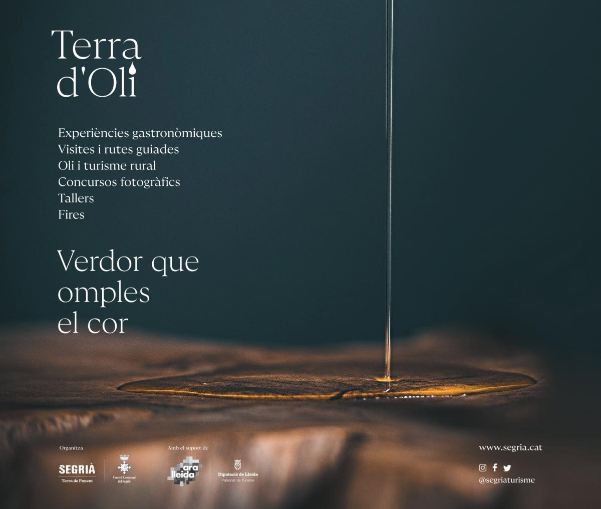 Terra d'oli